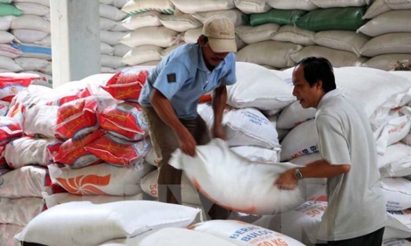 Thị trường lúa gạo: Giá giảm mạnh và tồn kho lớn trong tháng Chín